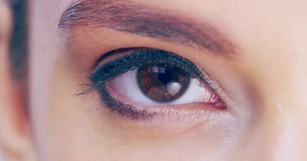 Makeup Öga Eller Kvinna Med Mascara Ögonskugga Eller Tjocka Ögonfransar — Stockvideo