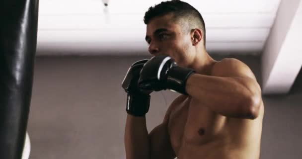 Boxen Training Und Mann Athlet Der Turnhalle Für Die Bewegung — Stockvideo