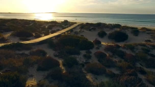 Strand Drón Óceán Naplemente Utazás Szörfözés Trópusi Táj Panorámás Kilátás — Stock videók
