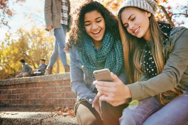 Telefon, öğrenci ya da arkadaşlar parkta tatilde birlikte gülümseyerek sosyal medyada geziyorlar. Mutlu insanlar, dedikodu ya da genel z kızları doğada konuşuyorlar, konuşuyorlar ya da komik şakalara gülüyorlar..