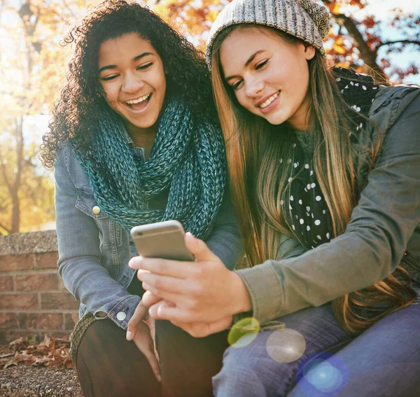 Phone meme, laugh or friends in park with smile together for holiday vacation outdoors on social media. Happy people, gossip or gen z girls in nature talking, speaking or streaming at a comedy joke.
