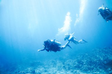 İnsanlar, sualtı, macera ve tropikal tatil ya da tatil için okyanusta yüzme ve tüplü dalış yapıyorlar. Spor, grup ve sporcu veya mavi su dalgıcı, kabarcıklar ve deniz yaşamı arayışı.