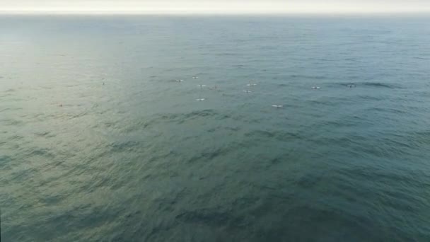 空中ドローン カヌーの人々は 自然の中でレース スポーツ または海での旅のために水の上に漕ぎます ビーチでのグループパドリングボートのトップビュー 旅行や潮の波や屋外の冒険 — ストック動画