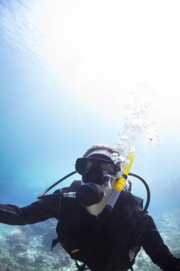 Sualtı, macera ve tropikal tatil ya da tatili keşfetmek için okyanusta yüzen ve tüple dalış yapan insanlar. Maldivler 'de uzman bir dalgıç. Deniz yaşamı için yer, doğa ve baloncukları var..