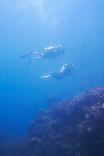 Couple Swimming Scuba Diving Sea Underwater Adventure Explore Tropical Holiday — Stock Photo, Image