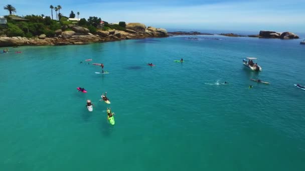南アフリカケープタウンで休暇 熱帯休暇 夏の旅行で人々の海 サーフィン ドローン 空中ビュー ウォータースポーツ グループ水泳 海岸でのボートの群衆 — ストック動画