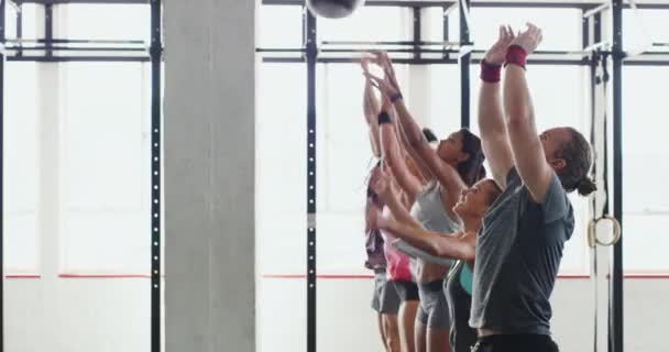 Top Fitness Spor Salonundaki Insanlar Vücut Geliştirme Eğitimi Dayanıklılık Için — Stok video