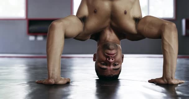 瑜伽和男子运动 在健身房中保持平衡以获得健康的身体肌肉或运动 手倒立和健美运动员在训练 力量和精力方面具有灵活性 坚强的核心和健康 — 图库视频影像