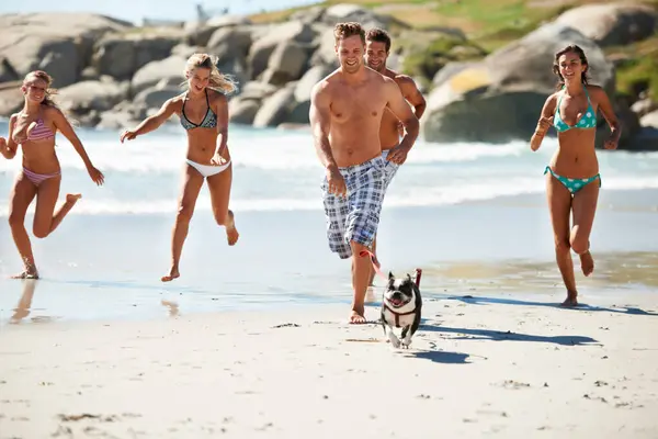 Dog, travel or people running on beach for a fun summer holiday vacation or exercise together. Smile, healthy or group of happy friends jog on a adventure for wellness, workout or freedom with pet.