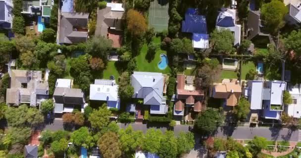 항공기 부동산 부동산 옥상에 풍경과 배경을위한 나무의 — 비디오