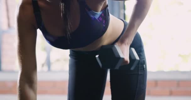 Kvinna Hantel Och Fitness Gymmet För Muskelträning Hälsa Och Träning — Stockvideo