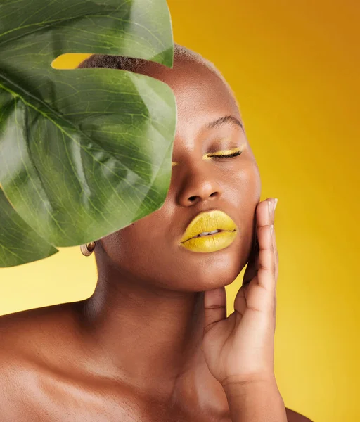 Piękno Makijaż Liść Twarzą Czarnej Kobiety Studio Dla Tropikalnych Naturalnych — Zdjęcie stockowe