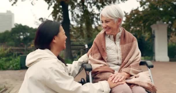 Rolstoel Park Een Oudere Vrouw Met Een Handicap Praten Met — Stockvideo