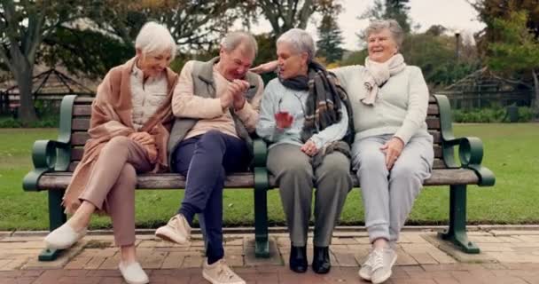 大自然和成熟的朋友一起坐在公园的长椅上呼吸新鲜空气 与一群退休老人一起在户外绿园里讨论或交谈 — 图库视频影像