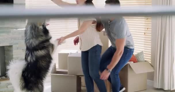 Boldogság Izgatott Pár Otthon Kutyával Izgalom Jelzálog Ingatlanbefektetés Férfi Husky — Stock videók