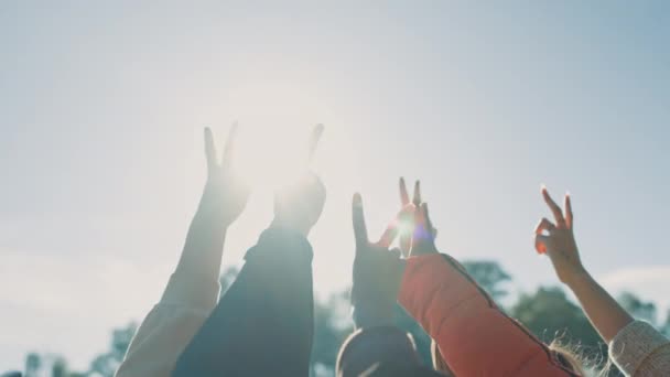 Vredesteken Ondersteuning Handen Van Vrienden Natuur Voor Gemeenschap Motivatie Teamwork — Stockvideo