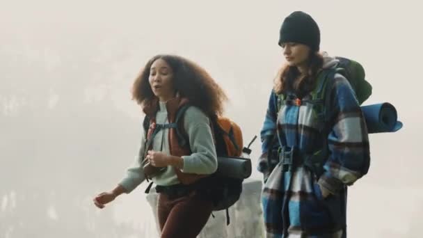 Podróże Plecak Przyjaciele Wędrujący Górach Zimny Zachmurzony Poranek Naturze Razem — Wideo stockowe