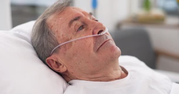 Oxígeno Cama Hospital Hombre Mayor Con Ventilación Soporte Tubo Respiratorio — Vídeos de Stock
