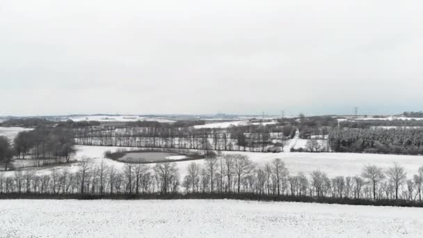 Сніг Безпілотний Ландшафт Поля Природі Навколишнього Середовища Лісів Миру Крайня — стокове відео