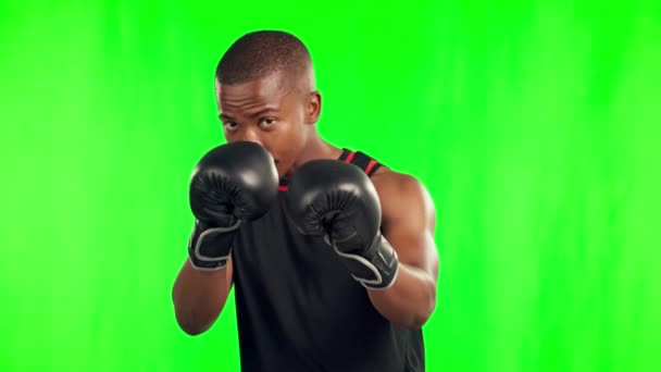 黒人男性 ボクサー スタジオの背景と緑の画面で戦うためのフィットネス 運動用のボクシンググローブ 運動用ワークアウト用又はモックアップトレーニング用のアフリカの男性又は戦闘機の肖像 — ストック動画