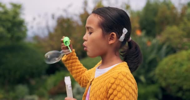 公园里 孩子和女孩在吹泡泡 快乐地享受着快乐的时光 夏天的休息和童年的发展 自由和女童学习 玩肥皂泡玩具和魔杖 — 图库视频影像