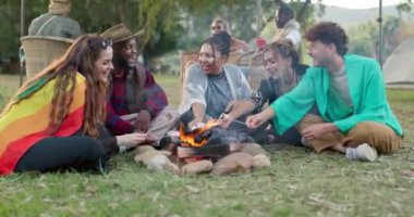 Festivalde kamp yapan arkadaşlar marşmelov, ateş ve mutluluk, özgürlük ve çeşitlilikle birlikte açık hava konserinde eğleniyorlar. Müzik etkinliği, kamp ve grup insan kamp ateşinde piknik, erkekler ve kadınlar birlikte.