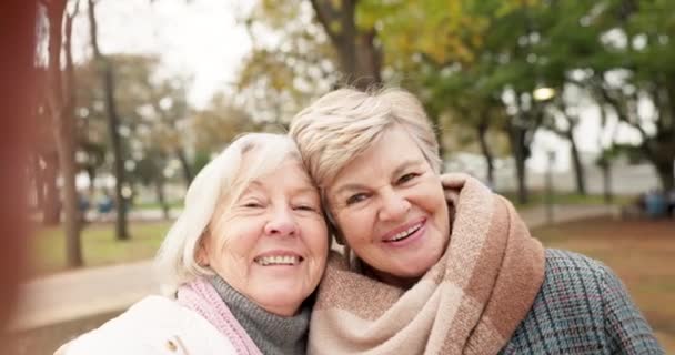 ビデオ通話 退職後の絆のために 自然の中で女性と笑顔 シニアセルフィー 休日やケアのために公園で写真を撮る高齢者の幸せな友人や肖像画 — ストック動画