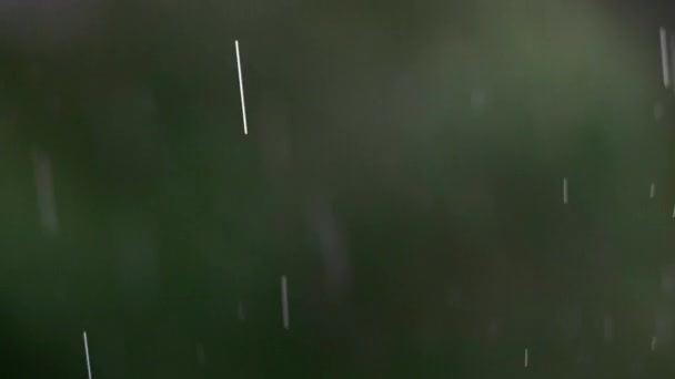 Zbliżenie Deszczu Pogody Przyrody Rozmytym Tłem Klimatem Środowiskiem Krople Wody — Wideo stockowe