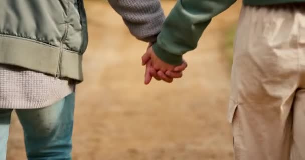 Rücken Des Paares Wandern Und Händchenhalten Park Für Liebe Pflege — Stockvideo
