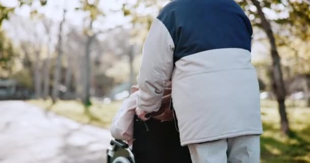 Senior Casal Cadeira Rodas Com Volta Parque Para Andar Aposentadoria — Vídeo de Stock