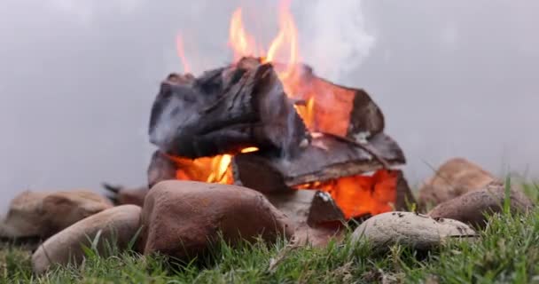 Fechar Fogueira Madeira Para Acampar Livre Cozinhar Aquecer Natureza Grama — Vídeo de Stock