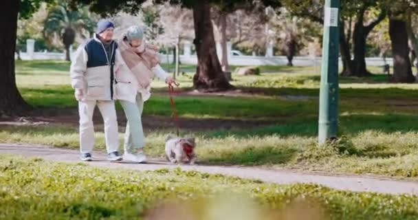 Senior Par Hund Och Promenader Parken Tillsammans Sommaren För Kärlek — Stockvideo