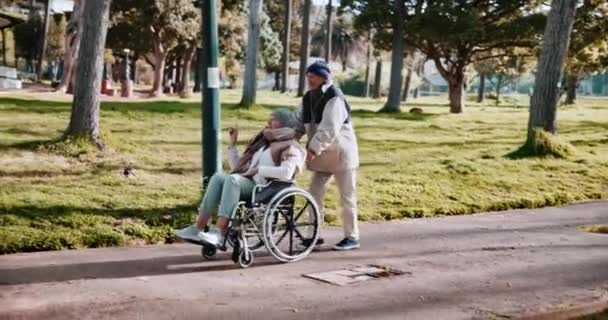 Senior Casal Cadeira Rodas Com Andar Parque Para Aposentadoria Felicidade — Vídeo de Stock