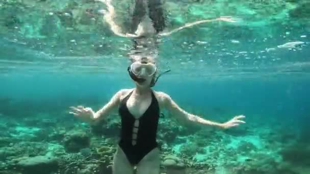Dykning Okej Skylt Och Kvinna Simmar Havet För Äventyr Semester — Stockvideo