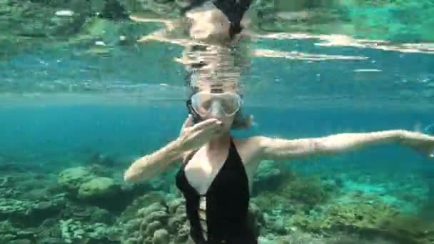 在毛里求斯探险 度假和度假的潜水 亲吻和在海里的女人 旅游及在热带水域工作的女性 手拉手探索岛上的珊瑚礁 — 图库视频影像
