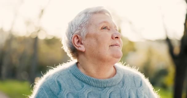 老年妇女 在一个自由 新鲜空气和宁静的公园里思考和放松 退休后为健康和健康而在自然 森林或森林中生活的老年妇女或老年人的脸 — 图库视频影像