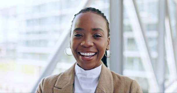 Лицо Смешной Адвокат Черная Женщина Офисе Бизнеса Корпоративной Компании Африканский — стоковое видео