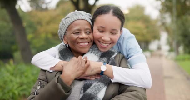 Caregiver Hug Park Old Woman Wheelchair Retirement Elderly Care Physical — Stock Video