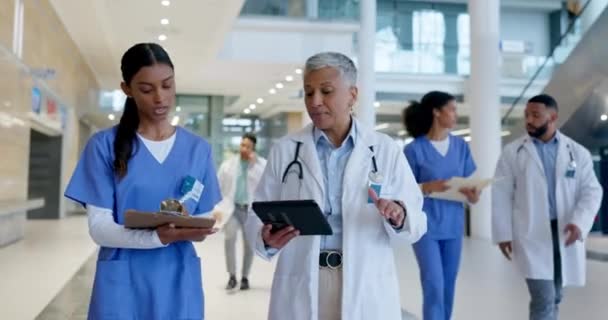 Hospital Tablet Equipe Médicos Caminhando Line Para Planejamento Reunião Horário — Vídeo de Stock