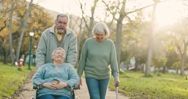 团体和老年朋友一起散步 在大自然中呼吸新鲜空气 锻炼身体或保持健康 在一个有轮椅和拐杖的室外花园 与人交谈 健康和退休老人 — 图库视频影像