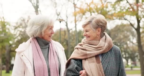 Senioren Frauen Und Freunde Treffen Sich Park Gehen Spazieren Und — Stockvideo