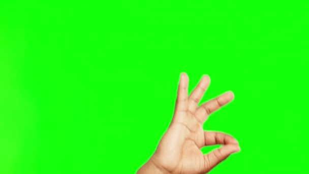 Χέρια Εντάξει Σημάδι Και Τέλεια Στην Επιτυχία Στην Πράσινη Οθόνη — Αρχείο Βίντεο