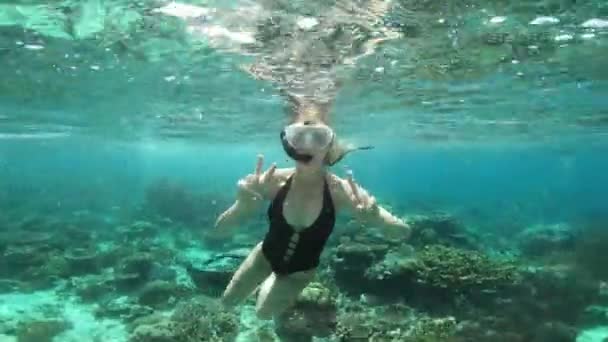 스쿠버 다이빙 평화의 바다에서 모리셔스에서 휴가를 보내는 여성의 초상화 바다에서 — 비디오