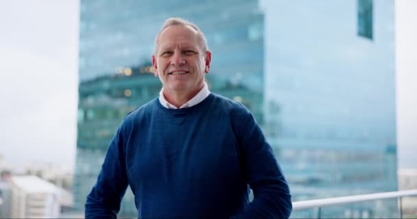 리더십을위한 발코니에 비즈니스 매니저와 미소와 긍정적 방식으로 직장에 서있는 초상화 — 비디오