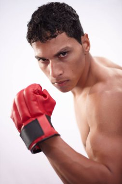 Boksör gücü, spor eğitimi ya da aktif dövüş sanatları gibi beyaz boksörler. Erkek, üstsüz ya da yumruk yumruğu performansı yarışma, boks ya da stüdyo için..