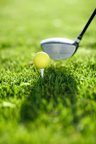 Closeup, golf ball and tee for swing on driving range for sports competition, recreation hobby or practice. Target, challenge and tournament on field in summer for training with equipment on grass.