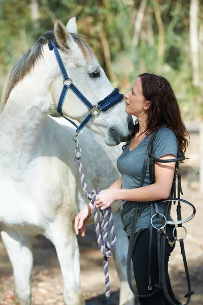 妇女与马 动物和马术与骑在户外在农村和农场 娱乐和农场 有年轻的骑手 马厩和骑师与马或宠物 牛仔训练 — 图库照片