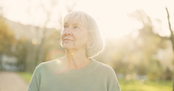老年妇女 在公园里放心好了 带着自由 积极的心态和微笑思考 退休后为健康和健康而在自然 森林或森林中生活的老年妇女或老年人的脸 — 图库视频影像