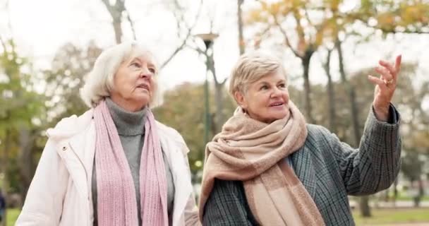 Senior Amigos Mulheres Vínculo Parque Caminhando Desfrutando Conversa Livre Juntos — Vídeo de Stock