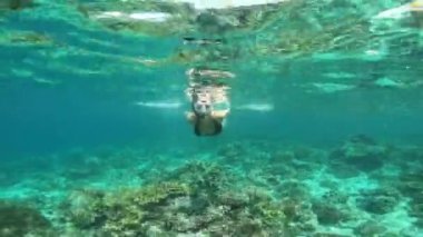Tüplü dalış, oral seks ve macera için okyanusta kadın, Mauritius 'ta tatil ve tatil. Şnorkelleme, seyahat ve adada keşfetmek için el hareketleriyle tropikal sularda yüzen kadın..
